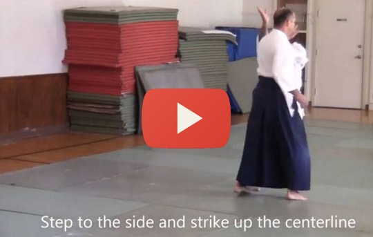 Excerpts from the 2014 Weapons Intensive Seminar with Philip Greenwood Sensei